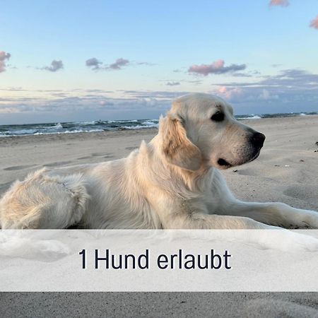3 Zimmer App Duenengarten Fewo 58 Ostseebad Kühlungsborn 外观 照片