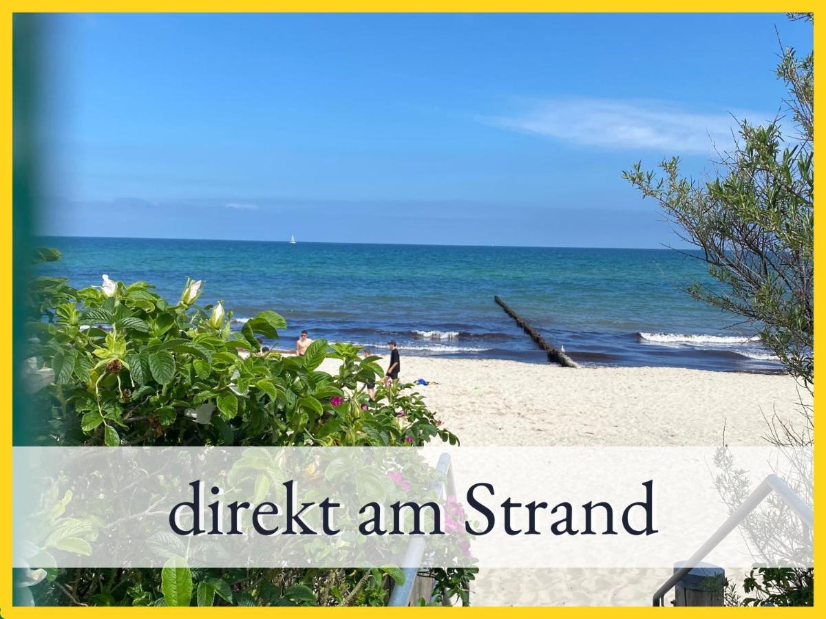 3 Zimmer App Duenengarten Fewo 58 Ostseebad Kühlungsborn 外观 照片