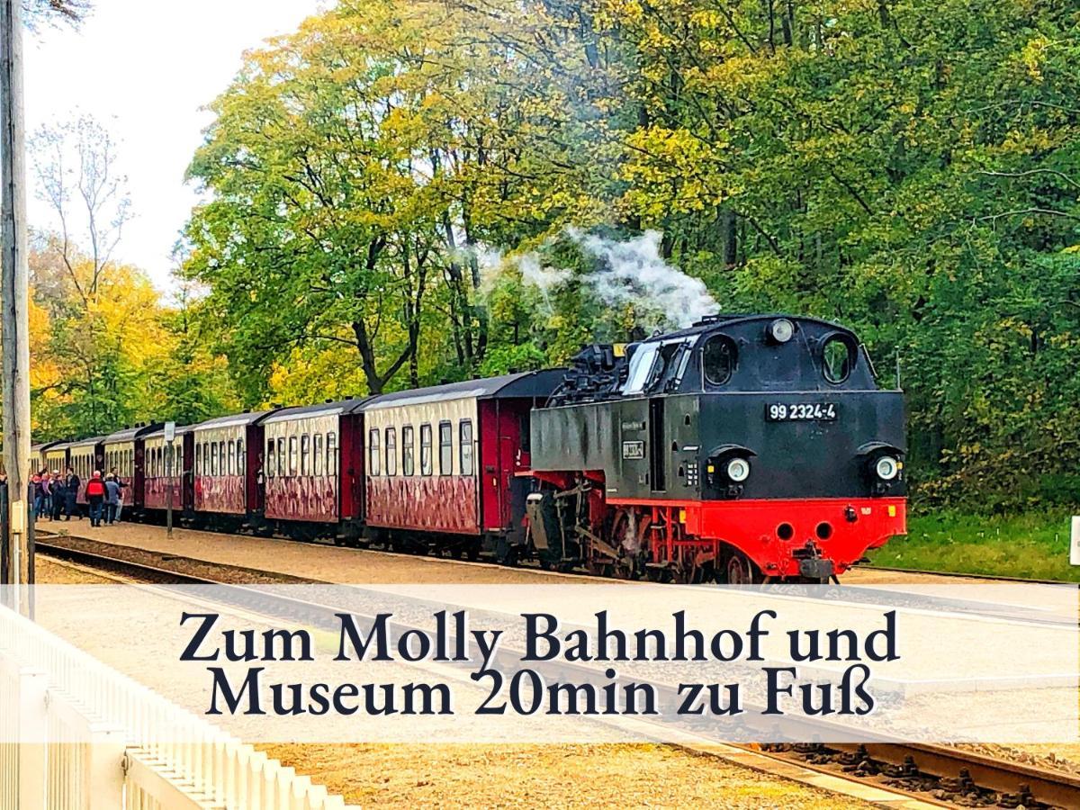 3 Zimmer App Duenengarten Fewo 58 Ostseebad Kühlungsborn 外观 照片