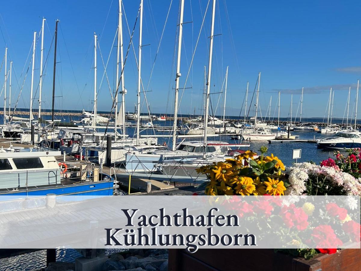 3 Zimmer App Duenengarten Fewo 58 Ostseebad Kühlungsborn 外观 照片
