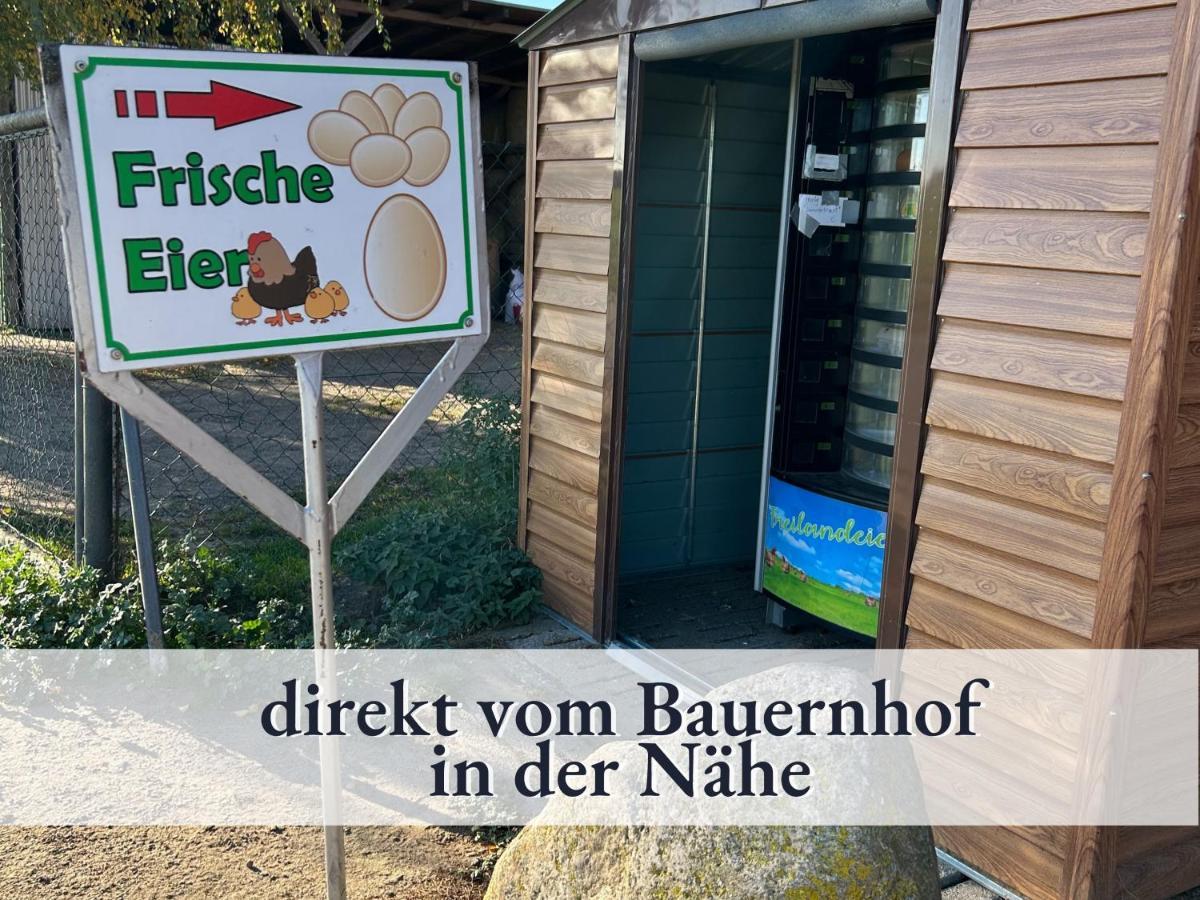 3 Zimmer App Duenengarten Fewo 58 Ostseebad Kühlungsborn 外观 照片