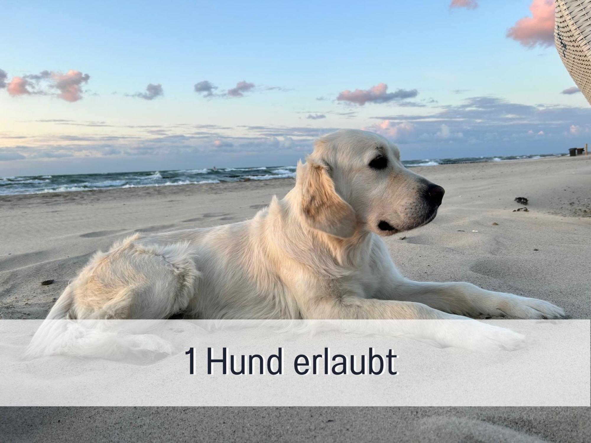 3 Zimmer App Duenengarten Fewo 58 Ostseebad Kühlungsborn 外观 照片